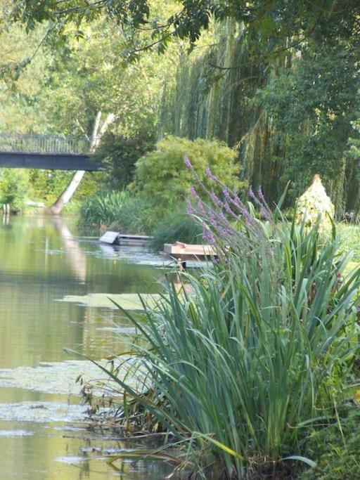 Gîte Gaïa, calme dans marais Poitevin Maille (Vendee) Exterior foto